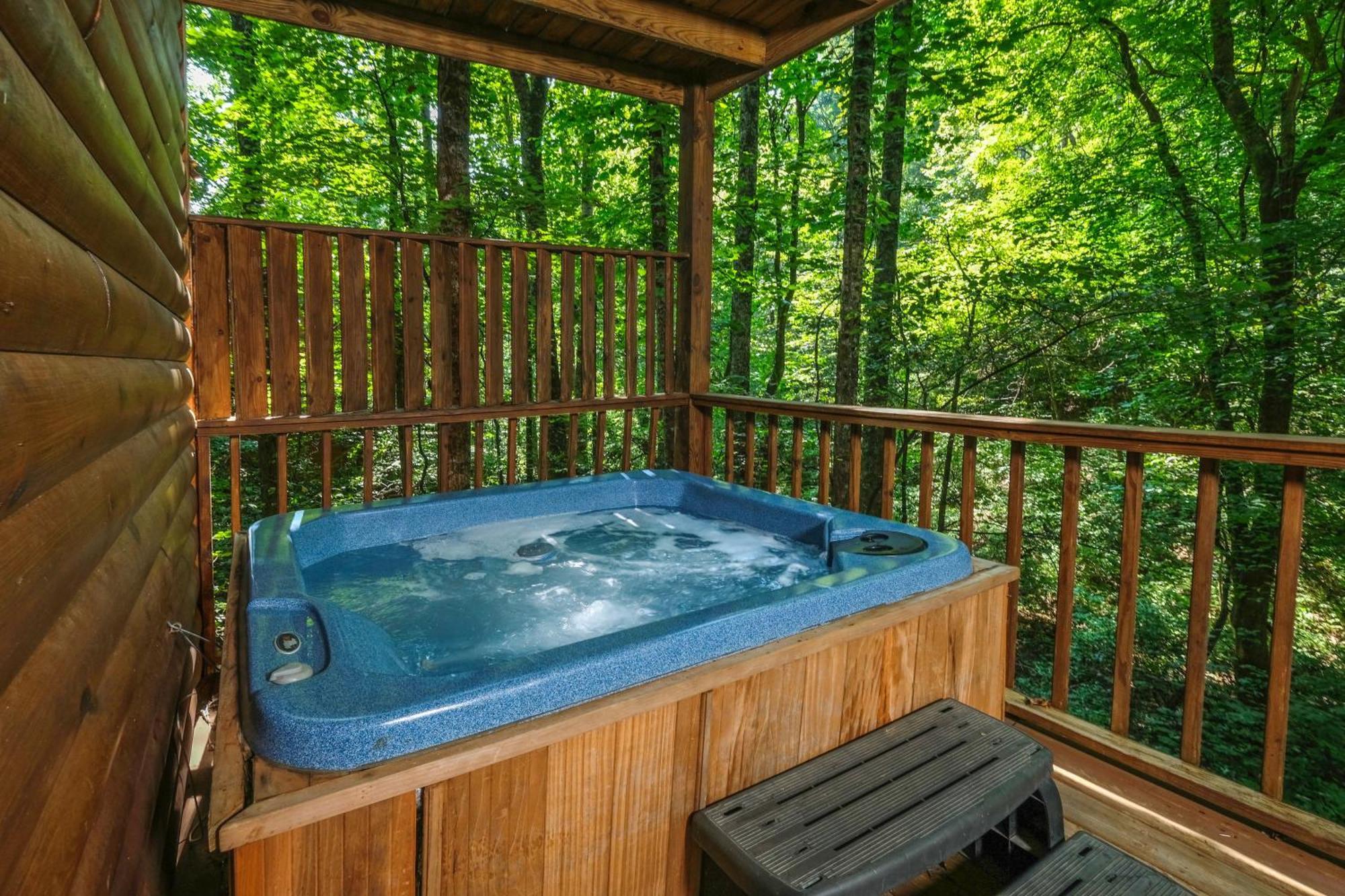 Beary Cozy Villa Pigeon Forge Exteriör bild