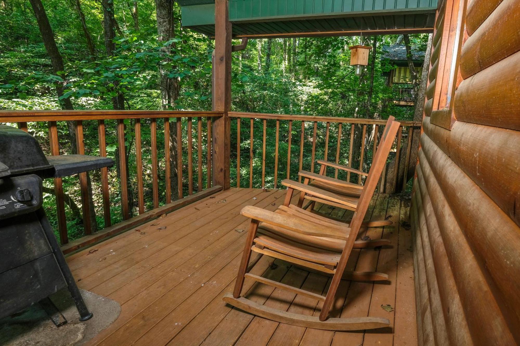 Beary Cozy Villa Pigeon Forge Exteriör bild